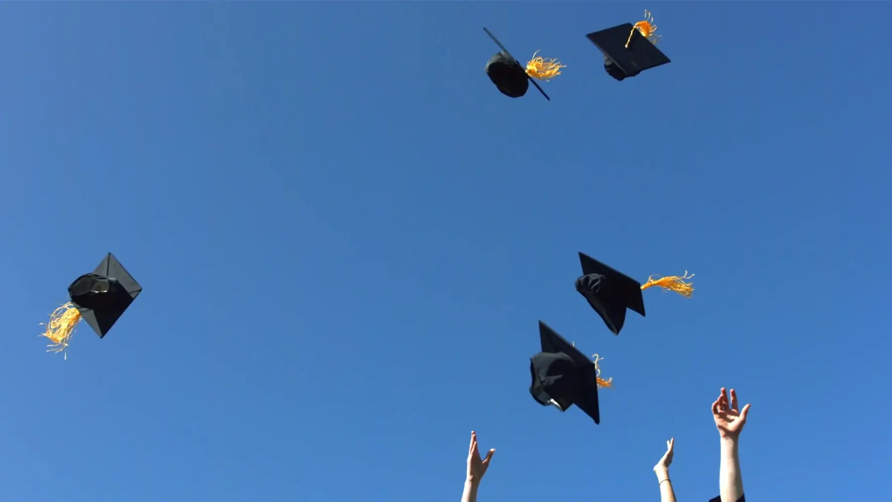 Chapeaux de diplômés lancés dans le ciel